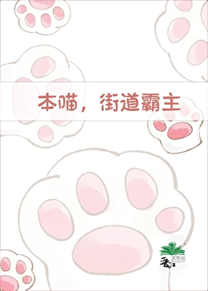 本喵，街道霸主