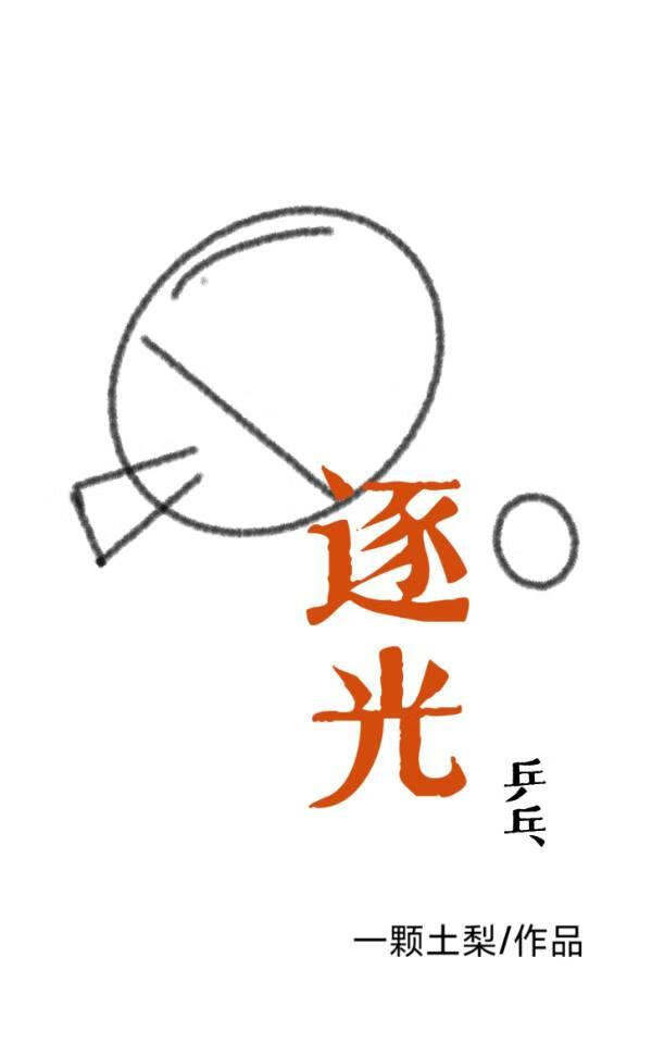 野狗逐光