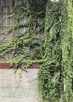 薄荷味的夏天