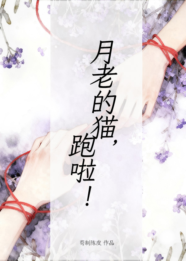 月老的猫，跑啦！