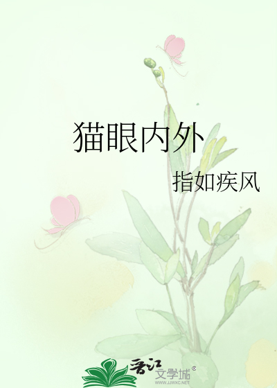 猫眼内外