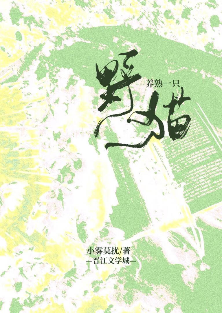 养熟一只野猫