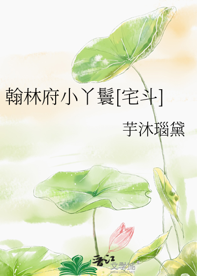 翰林府小丫鬟[宅斗]