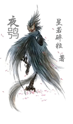 夜鸮