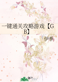 一键通关攻略游戏【GB】