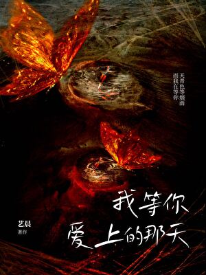 我等你爱上的那天