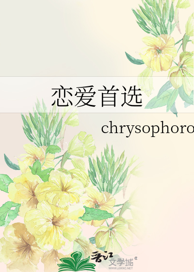 恋爱首选