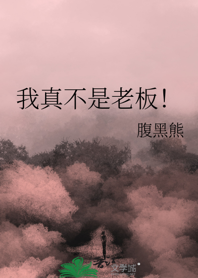 我真不是老板！