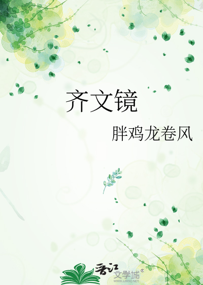 齐文镜