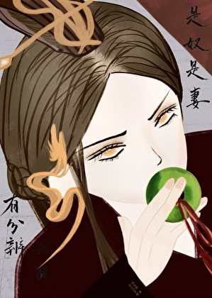是奴是妻我自有分辨