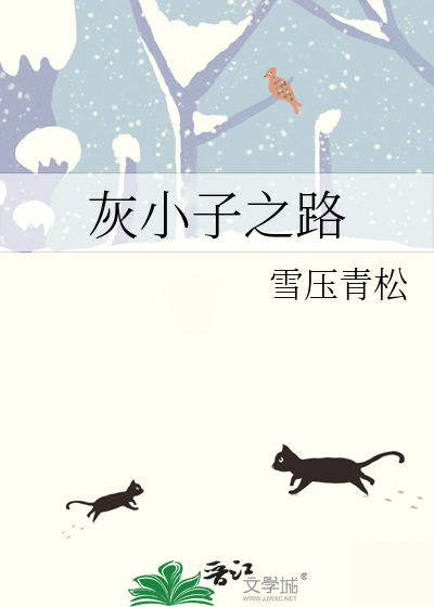 灰小子之路