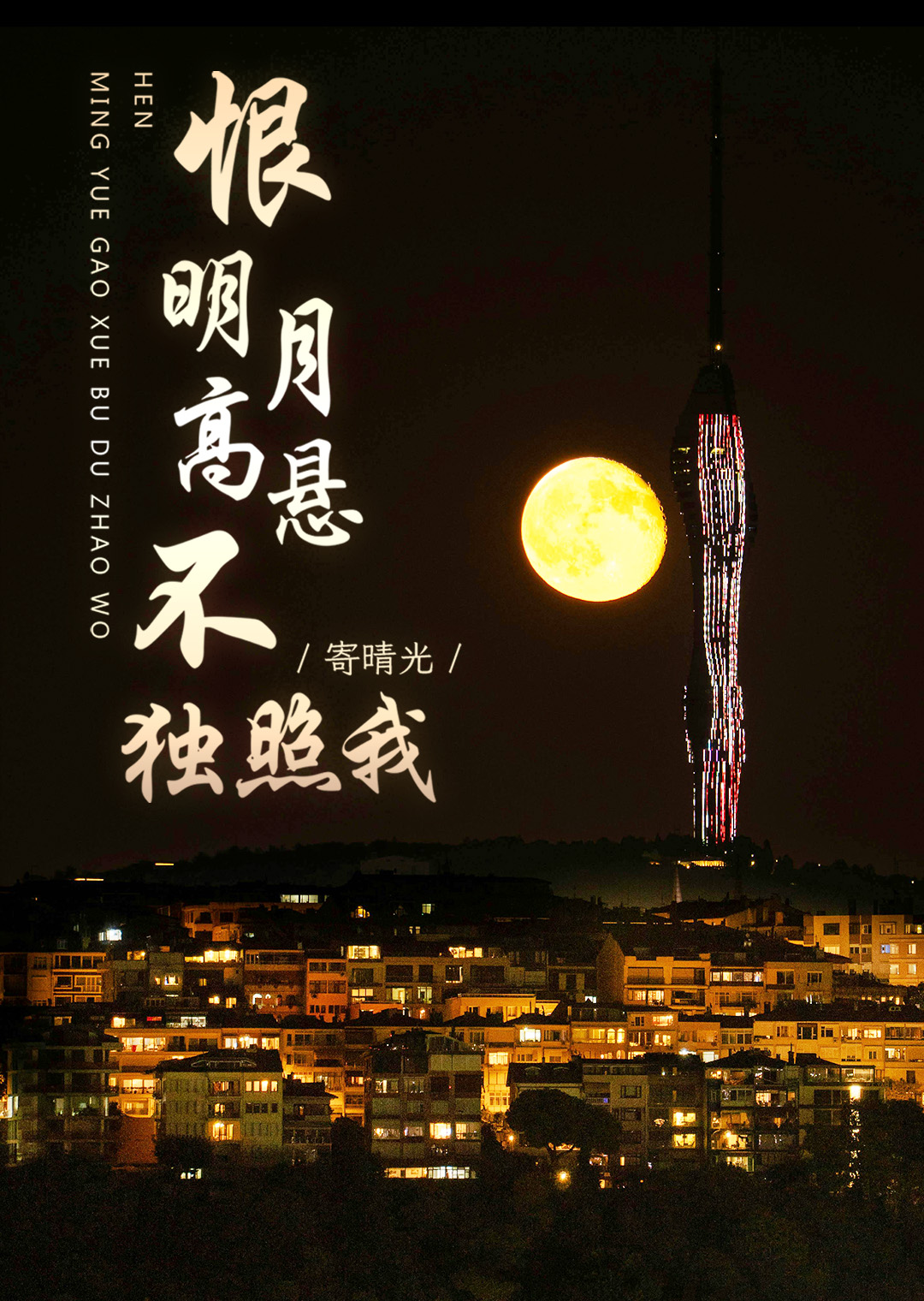 恨明月高悬不独照我[GB]