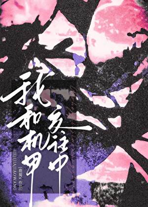 我和机甲交往中