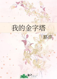 我的金字塔