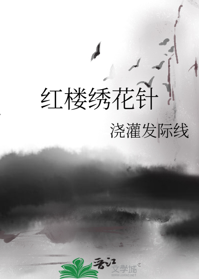 红楼绣花针