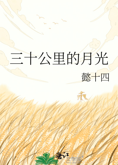 三十公里的月光