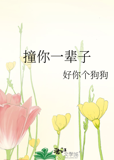 撞你一辈子