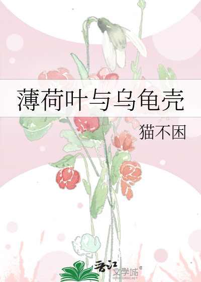 薄荷叶与乌龟壳