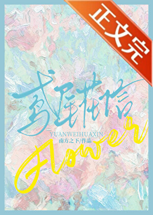 鸢尾花信