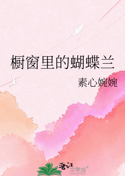 橱窗里的蝴蝶兰