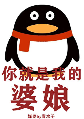 漂亮媳妇俏糙汉