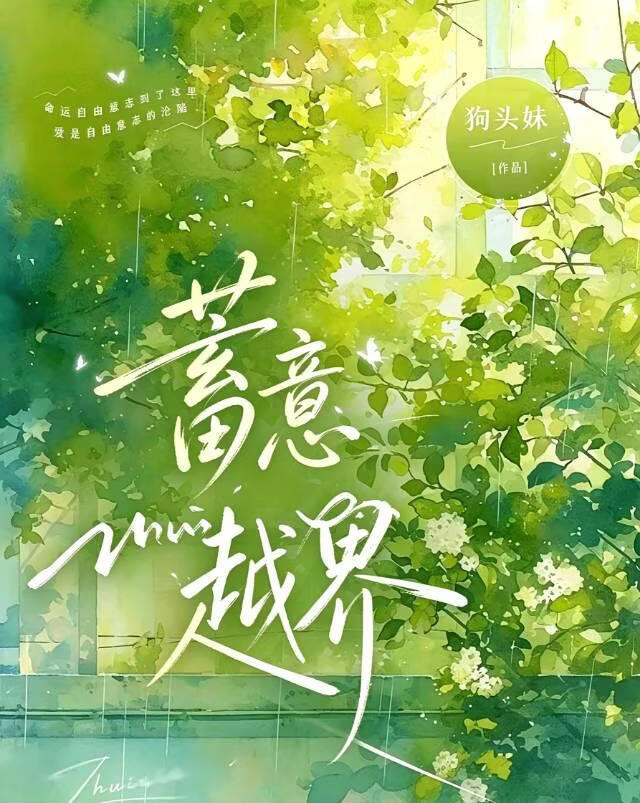 蓄意越界
