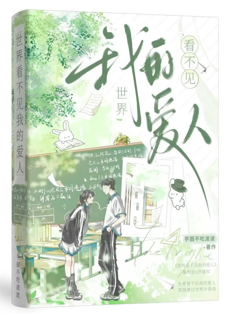 世界看不见我的爱人