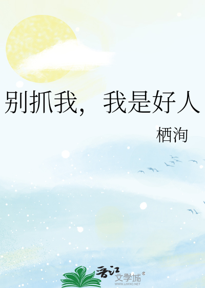 别抓我，我是好人
