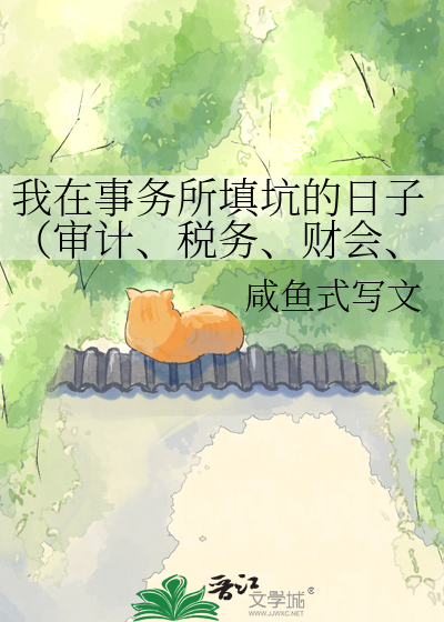 我在事务所填坑的日子（审计、税务、财会、法律）
