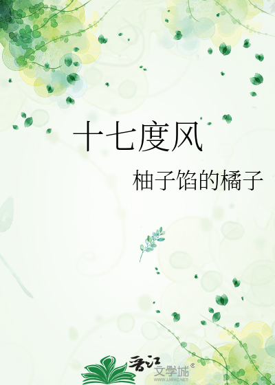 十七度风