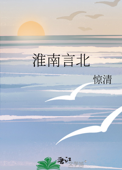 淮南言北