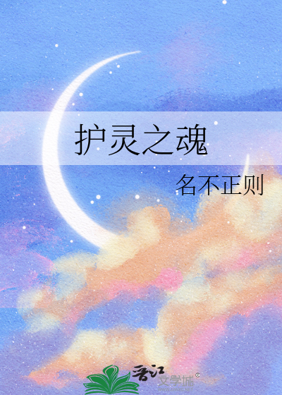 护灵之魂