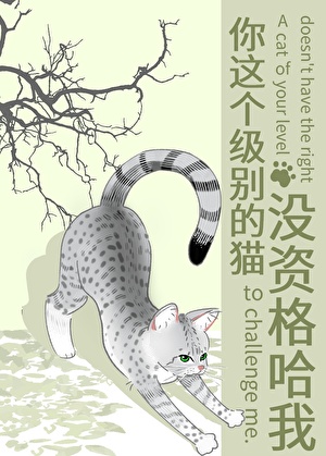 你这个级别的猫没资格哈我