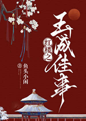 红楼之玉成佳事